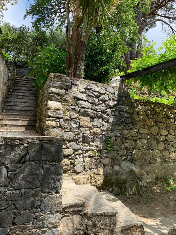 Vecchio Mulino Fontona Ortensia Chiesanuova  Exterior foto