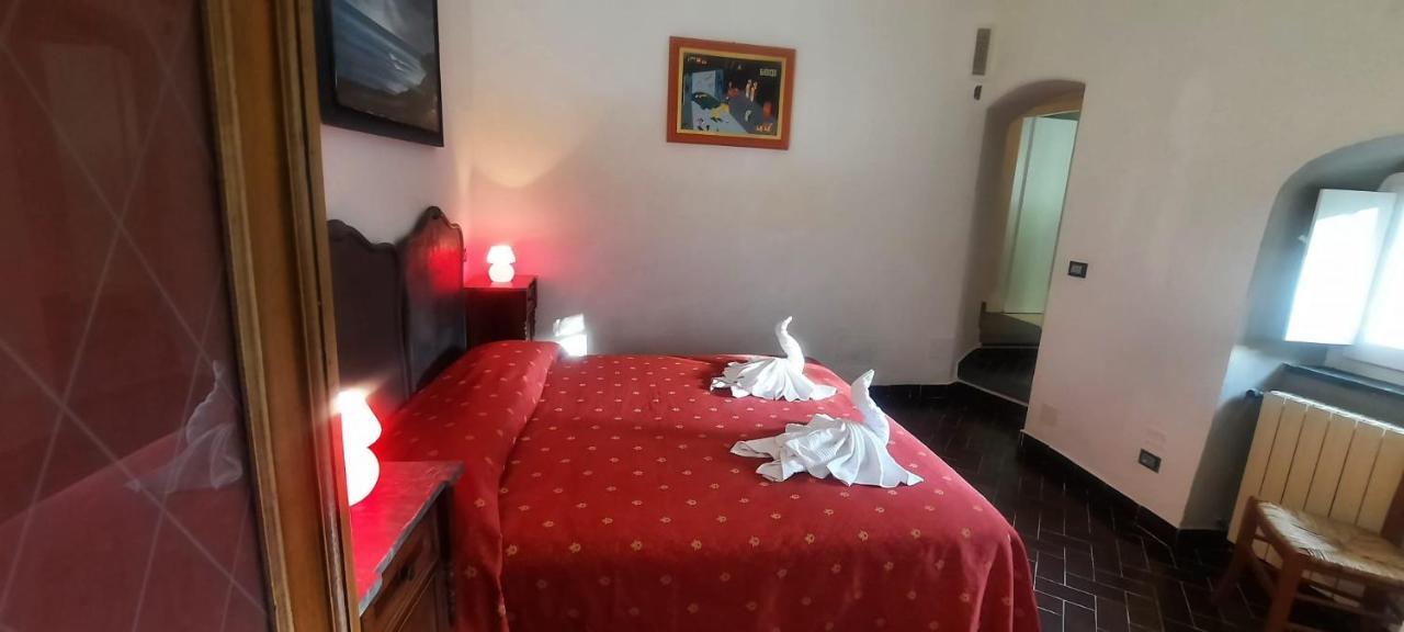 Vecchio Mulino Fontona Ortensia Chiesanuova  Exterior foto